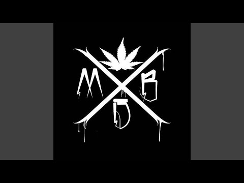 C.R.O - Ciudad Gris