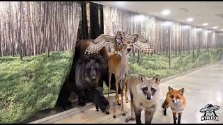 Wilde Tiere aus dem Wald betreten den Flur der Menschen ^^