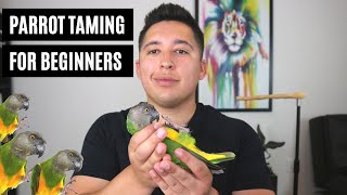 Taming Your Parrot For Beginners (Start With These Parrot Taming Secrets Through The Cage)