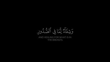 كرومة قرآن شاشة سوداء | تركي المحيسني – سورة يونس 58 | Surah Yunus