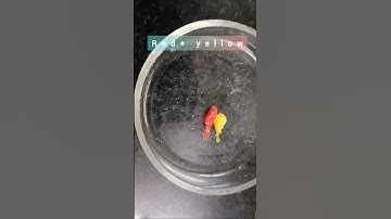 color mixing trend|primary to secondary colors#trending#art #shorts#viralvideo#reels#diy#love #fun