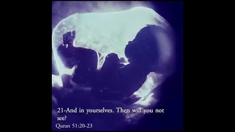 ايات من القران الكريم مترجمة الى الانجليزية   Verses of the Holy Quran translated to English