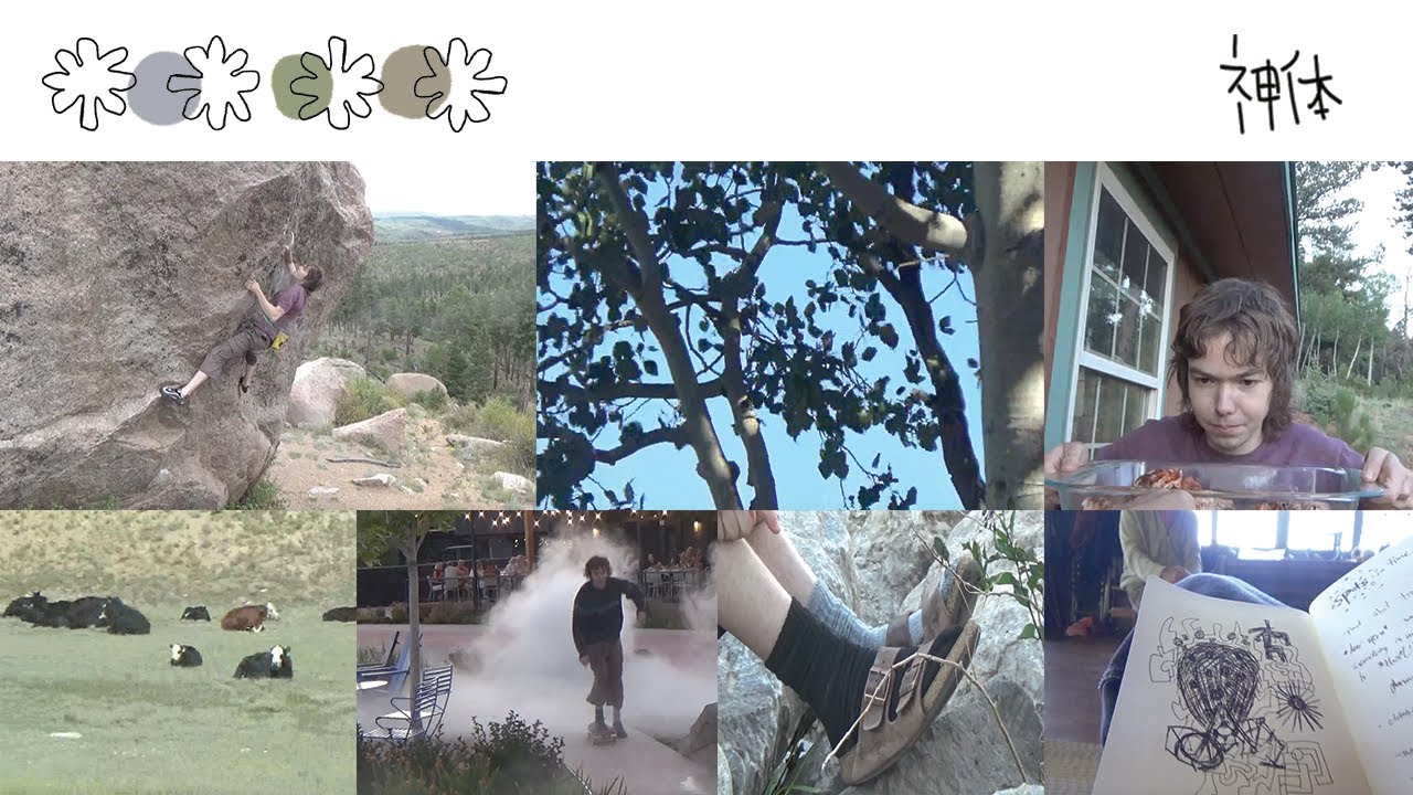 a week in august - YouTube