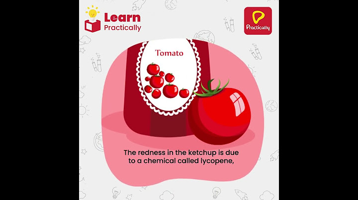 Interesting Fact About Ketchup | Learn Practically