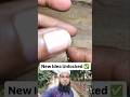 Survival Skills : Simple and Useful | #shorts