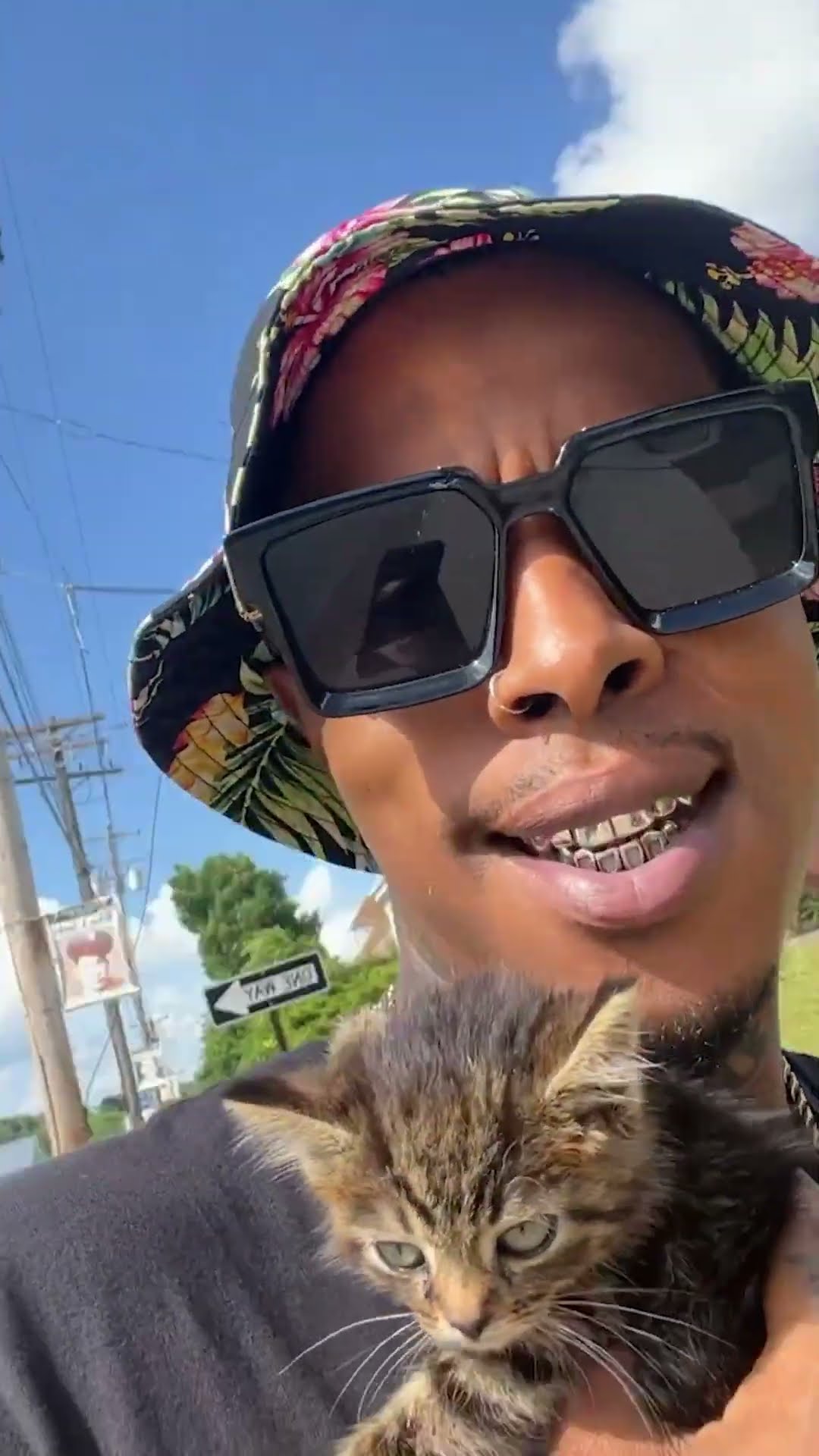 Guy Rescues A Tiny Kitten And Puts Her In His Rap Videos | The Dodo