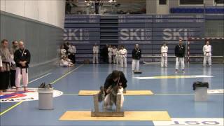 Amazing Taekwondo Black Belt Testing 2.Dan