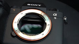 Sony A9 Mark II Ông Hoàng Tốc Độ Và Những Tính Năng Đáng Giá Trăm Triệu ?