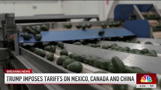 Trump imposes tariffs on Mexico, Canada and China
