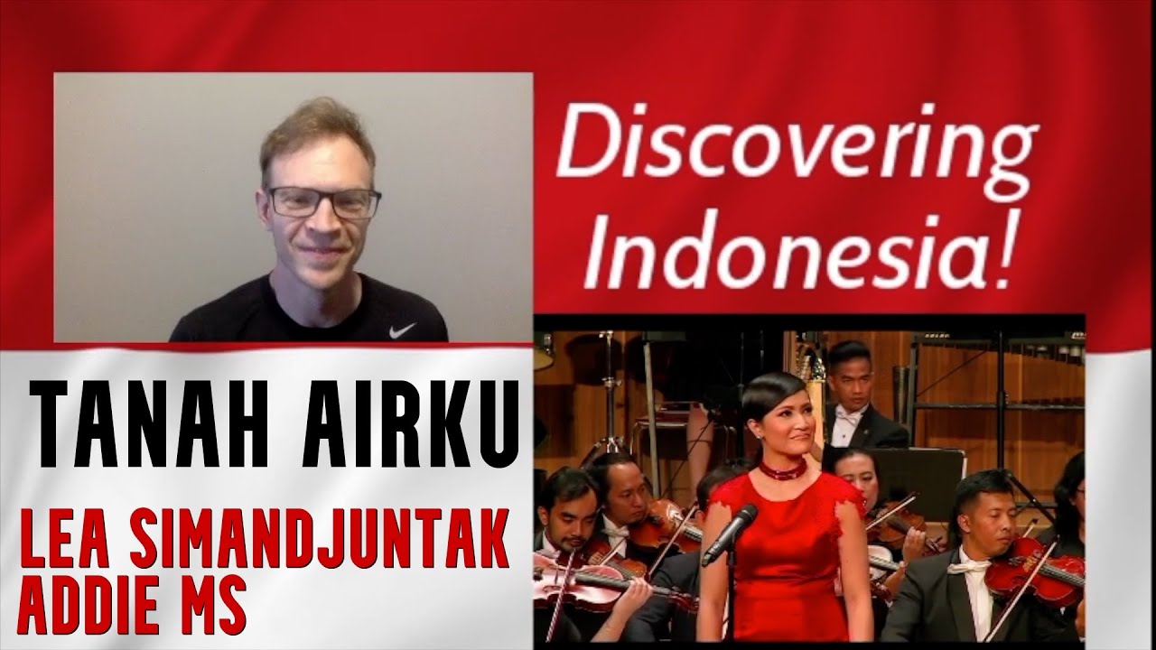 Tanah Airku (Ibu Soed), Pro Violinist Reaction