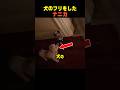 犬のフリをしたナニカ