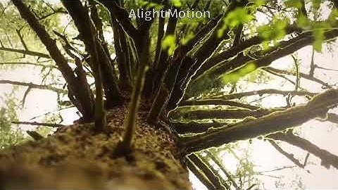 تلاوة نادرة للشيخ حصان- رحمه الله - من سورة هود .. غاية في الروعة .