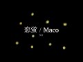 恋蛍 / Maco (cover)