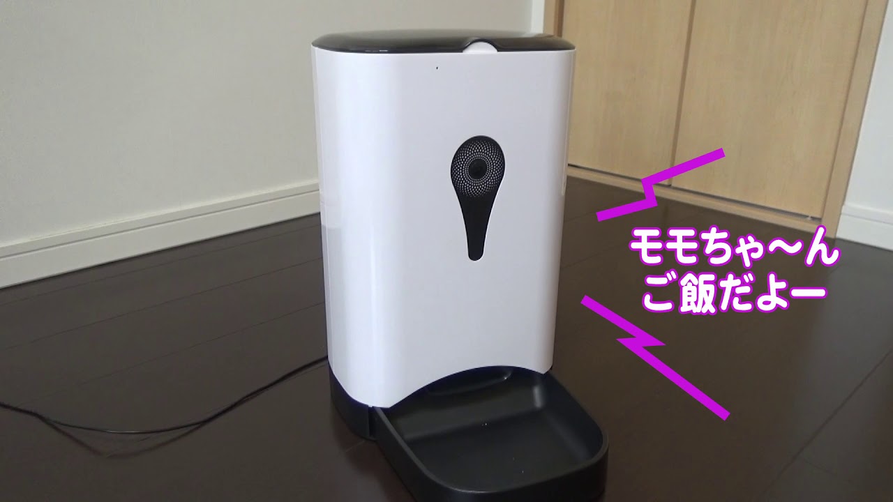 アプリで確認できる自動餌やり器 Smartpetfeeder Youtube
