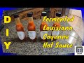 Fermented Cayenne Hot Sauce Recipe:  From Garden to Jar