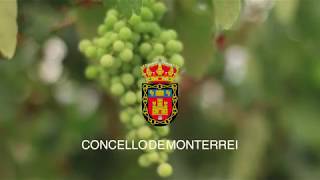 Concello de Monterrei
