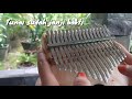 Gugur Bunga - Kalimba Cover with lyrics