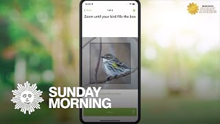 What's that bird? Merlin Bird ID app works magic