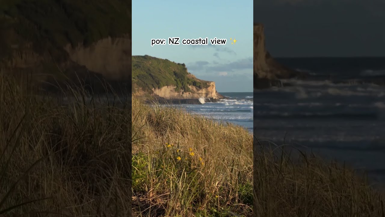 POV The View While Walking Your Dog Shorts Nature Newzealand