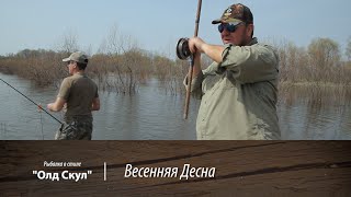 Весенняя Десна. 