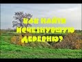 КАК НАЙТИ ИСЧЕЗНУВШУЮ ДЕРЕВНЮ? Охота за сокровищами!!!