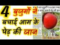 4 बुजुर्गो ने बचाई आम के🌳पेड़ की जान | Amezing Facts | # shorts