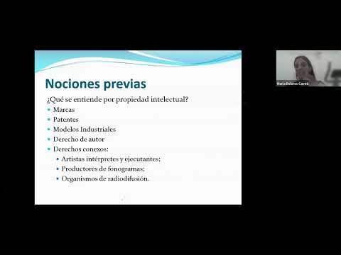 Derechos de Propiedad Industrial (Marcas, Patentes y Modelos) y Contratos