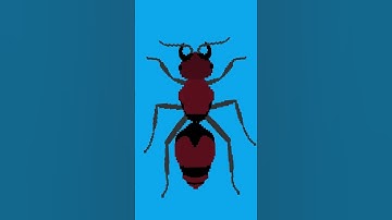 🐜 How Do Thousands of Ants Talk to Each Other? #shorts #education