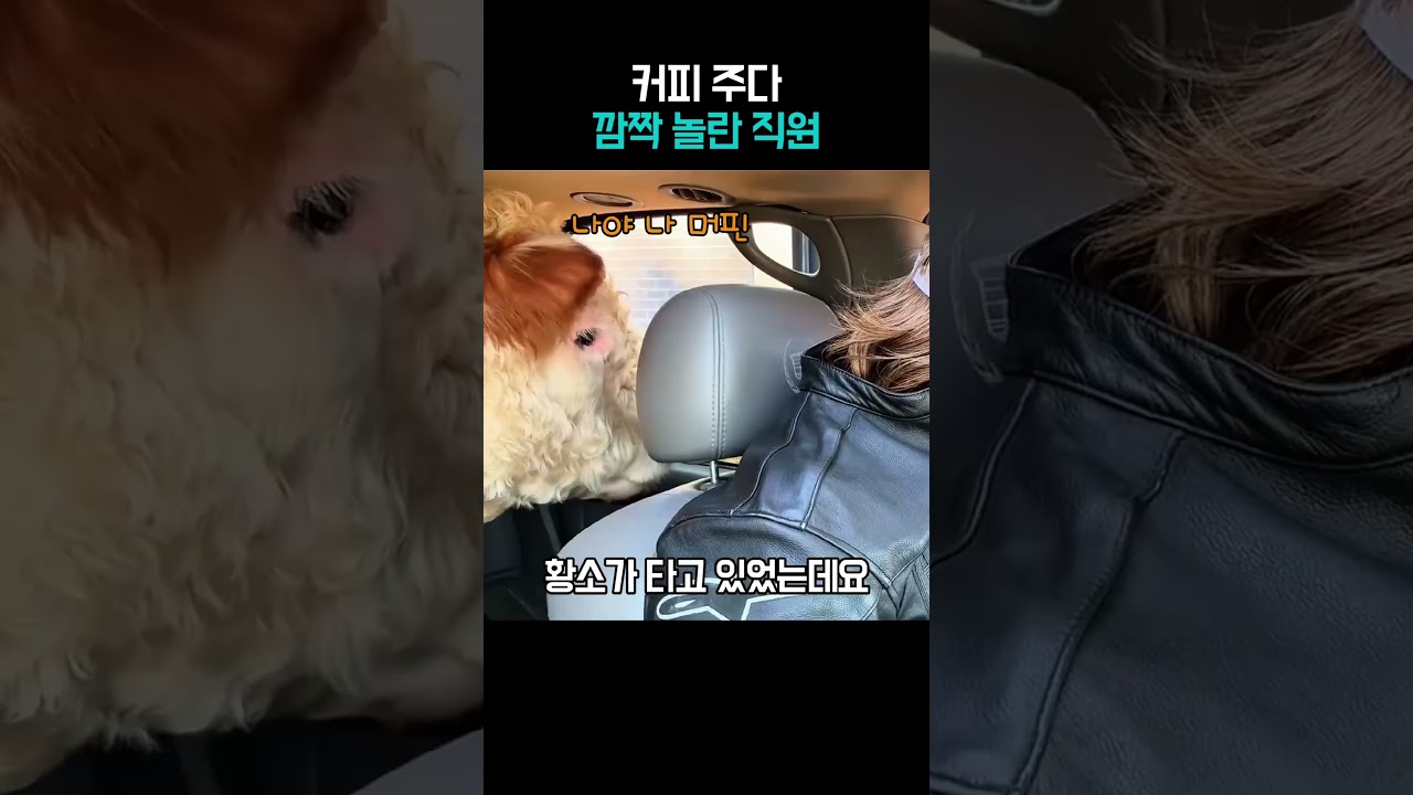커피주다 이걸 본 직원의 반응 #직장인공감 #여유