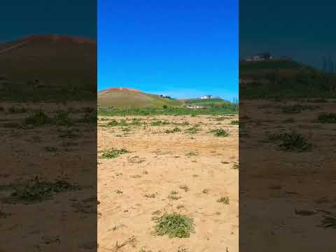 تسركيلة في الاربعاء سهول سلا البادية       