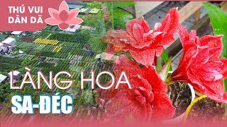 0754 Làng Hoa Sa Đéc Khoe Sắc Đón Tết 2018 l Tết Tết Tết...sắp đến rồi!!!! Flowers For Spring