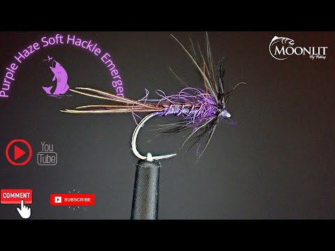 Purple Haze Soft Hackle Fly Fishing Flies - 6 Pack | Blue Wing Olive Brand