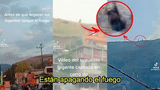 EL IMPACTANTE VIDEO de unos GIGANTES APAGANDO un INCENDlO en una Montaña de México