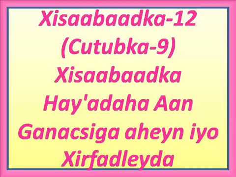Xisaabaadka-12 (Cutubka-9A) Xisaabaadka Hay&rsquo;adaha Aan Ganacsiga aheyn iyo Xirfadleyda