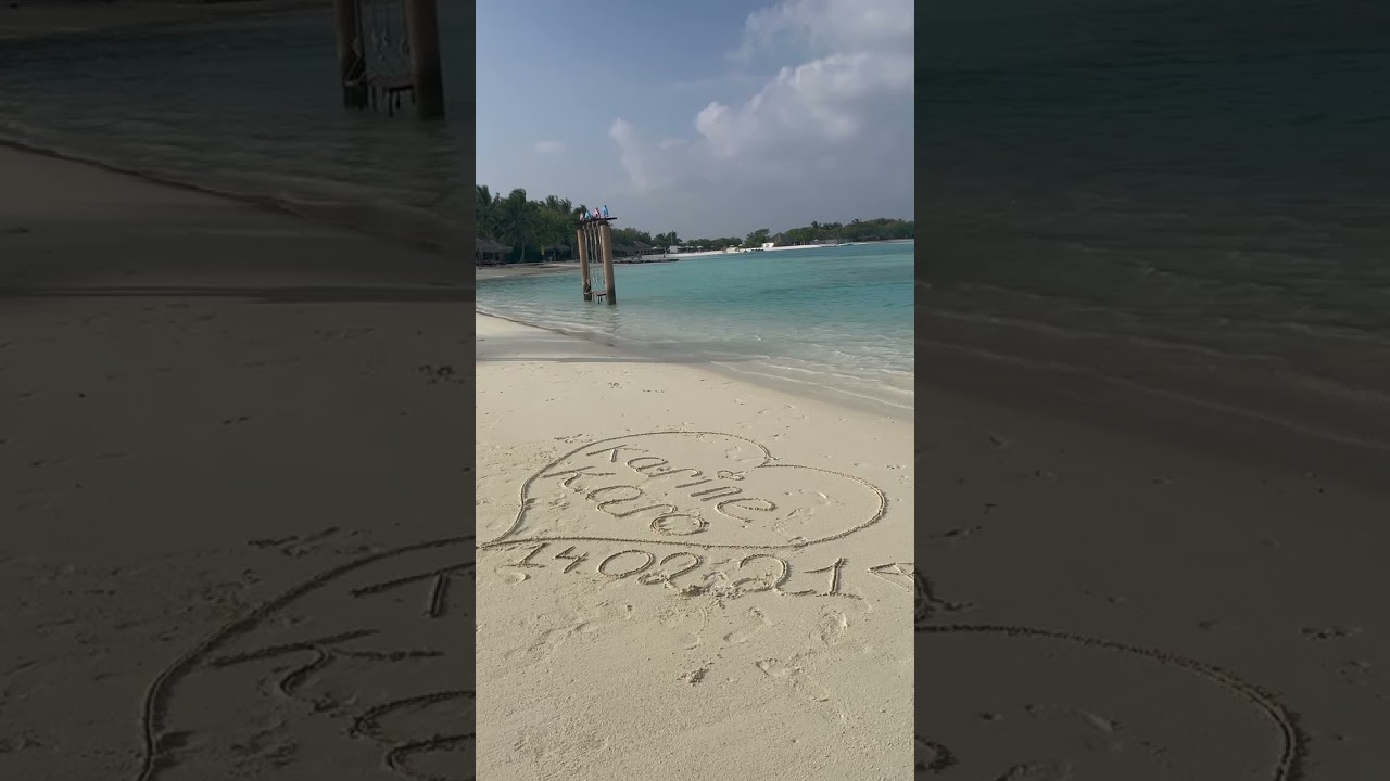 Asian Koel bird song on MALDIVES-Азиатский коел, Мальдивы