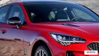 KIA Stinger - тест драйв. Киа Стингер самый динамичный автомобиль уже в России!