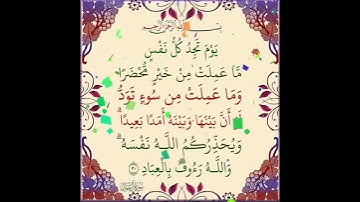 سورة آل عمران الآية ( 30 )