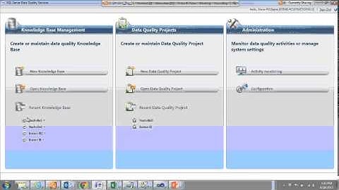 A Dive into Data Quality Services