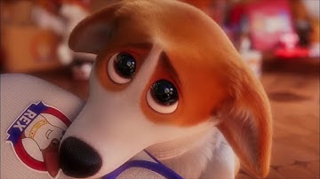 映画『ロイヤルコーギー　レックスの大冒険』特報　エリザベス女王の愛犬をモデルにしたコーギーのドタバタ劇