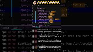Updating Packages in Angular Project