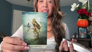 видео: Весы ✨- Этот человек потеет как угорелый, его единственное падение — гордость. картинка: Весы ✨- Этот человек потеет как угорелый, его единственное падение — гордость.