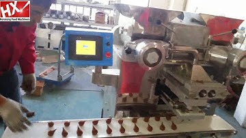 HX-860 automatic encrusting machine make coxinha in double row