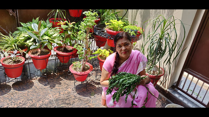 Benefits of Neem Leaves in plants.