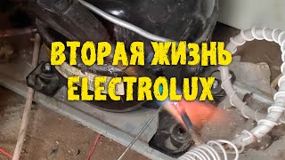 Бюджетный ремонт холодильника Electrolux (почему именно так)