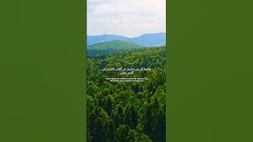 #fa123dl#استغفر الله العظيم واتوب إليه #الشيه ياسر الدوسري #اللهم انصر اخواننا في غزة#سورة الاسراء