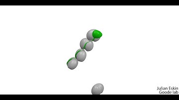Actin nucleation by Spire