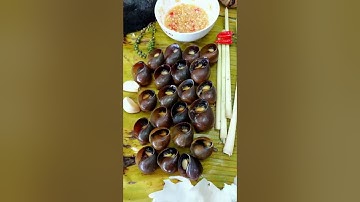 #60 Ốc luộc nước dừa siêu ngon | Khá Trần Vlog