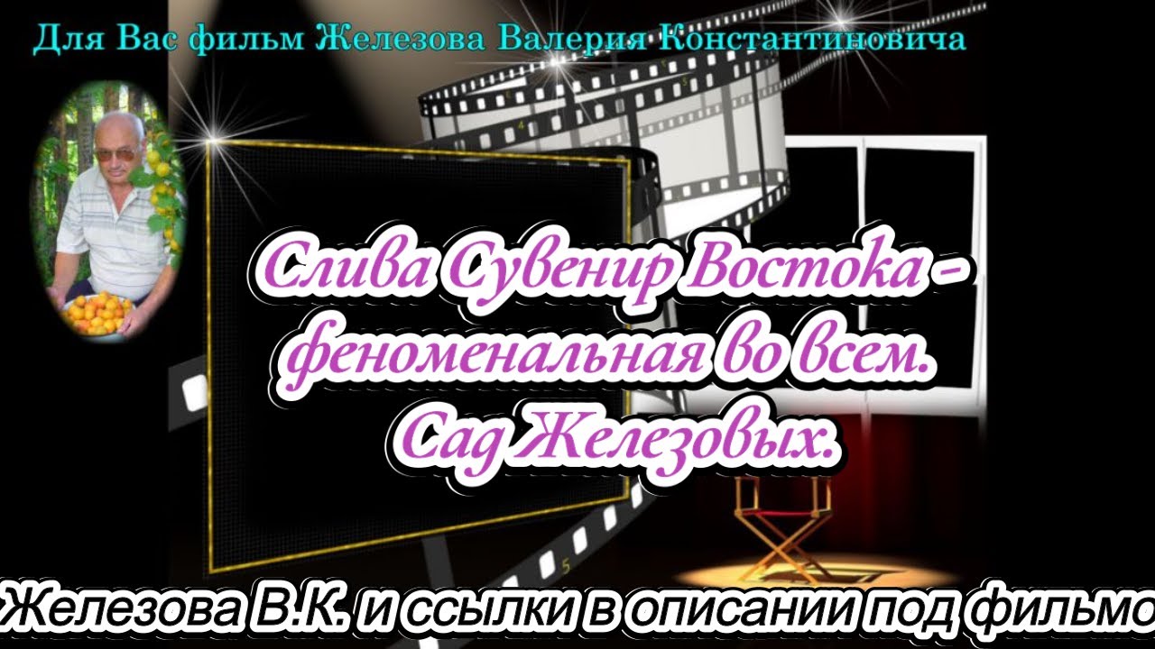 Слива Сувенир Востока - феноменальная во всем. Сад Железовых. - YouTube