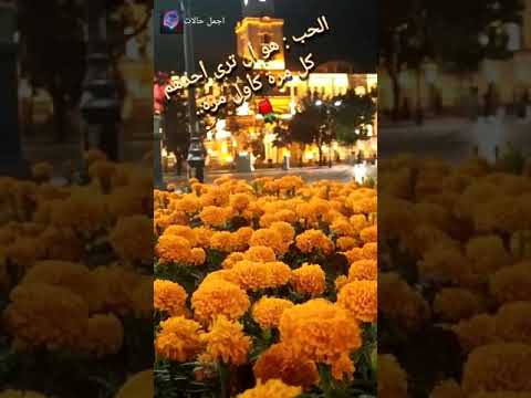 ليه بيقولو الحب اسيه عبد الحليم حافظ حالات واتساب