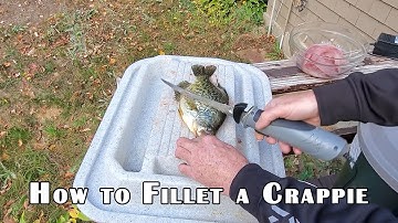 How to Fillet a Crappie with an Electric Fillet Knife